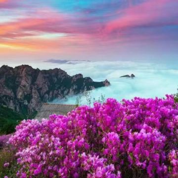 祖山风景区一日游【往返车费*门票*观光车*保险】 祖山风景区一日游【往返车费*门票*观光车*保险】