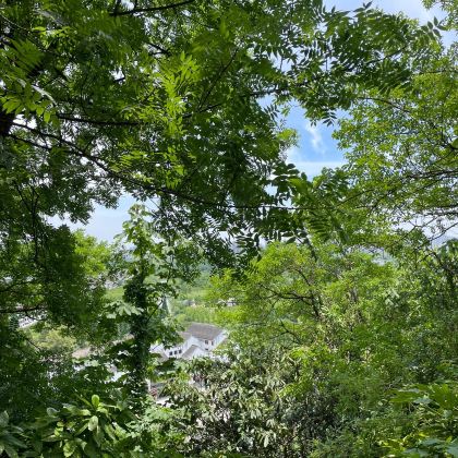 南通狼山+滨江公园+濠河+唐闸古镇+啬园包车一日游英文服务 南通狼山+滨江公园+濠河+唐闸古镇+啬园包车一日游英文服务