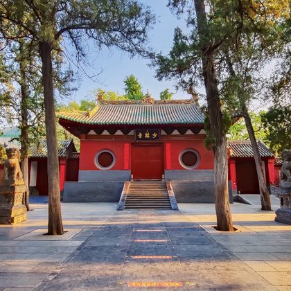 郑州少林寺+塔林+三皇寨一日游