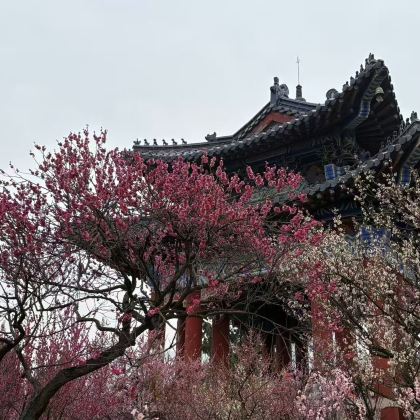 苏州拙政园+寒山寺+虎丘+山塘街【纯玩◆门票全含◆纯玩团 】 苏州拙政园+寒山寺+虎丘+山塘街【纯玩◆门票全含◆纯玩团 】