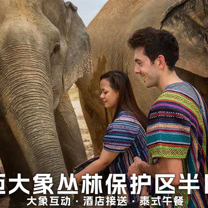 泰国清迈大象丛林保护区半日游