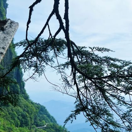 瓦屋山风景区一日游 瓦屋山风景区一日游