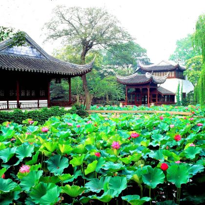 苏州拙政园+狮子林+周庄一日游【10点集合◆含游船◆演出选】 苏州拙政园+狮子林+周庄一日游【10点集合◆含游船◆演出选】