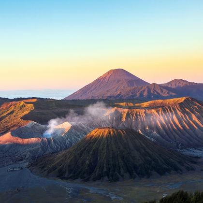 美国大岛(夏威夷岛)科纳咖啡农场+夏威夷火山国家公园+普纳鲁吾黑沙海滩一日游 美国大岛(夏威夷岛)科纳咖啡农场+夏威夷火山国家公园+普纳鲁吾黑沙海滩一日游