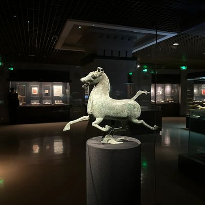 甘肃省博物馆半日游 甘肃省博物馆半日游
