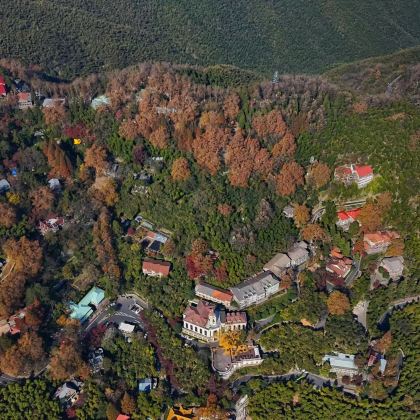 德清莫干山一日游【私家团+开车上山+行程可调整+司兼导陪同】 德清莫干山一日游【私家团+开车上山+行程可调整+司兼导陪同】