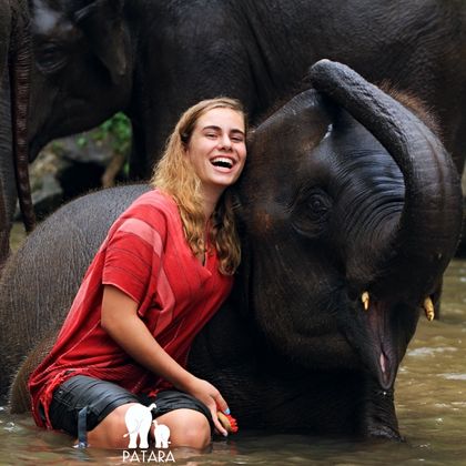 泰国清迈帕塔拉大象农场半日游