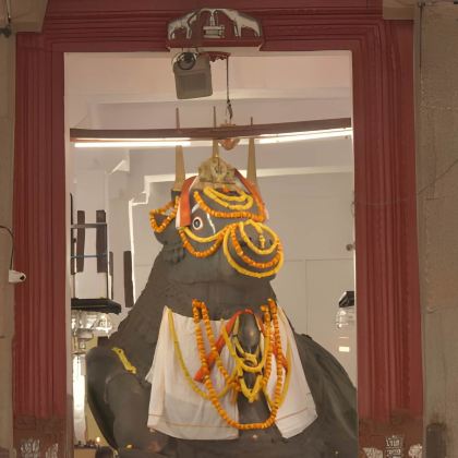 班加罗尔精华之旅——班加罗尔皇宫、公牛神庙、拉尔巴格花园及Vidhana Soudha 班加罗尔精华之旅——班加罗尔皇宫、公牛神庙、拉尔巴格花园及Vidhana Soudha