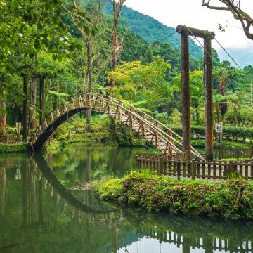 南投溪头森林游乐区+溪头妖怪村+竹山紫南宫一日游 南投溪头森林游乐区+溪头妖怪村+竹山紫南宫一日游