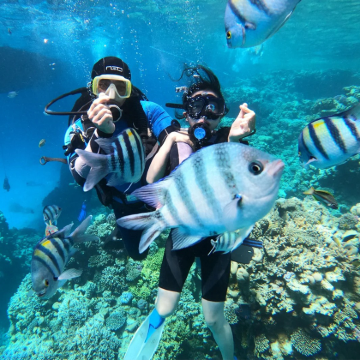 芽庄跳岛游+浮潜+海钓+滑梯+浆板+海鲜午餐+中文导游+接送 芽庄跳岛游+浮潜+海钓+滑梯+浆板+海鲜午餐+中文导游+接送