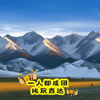 山丹皇家军马场景区一日游【精致小车·市内免费接送·纯玩】 山丹皇家军马场景区一日游【精致小车·市内免费接送·纯玩】