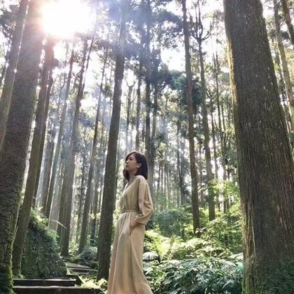 疗愈系溪头森林游乐区+妖怪村+鹿港老街+彩虹眷村一日游 疗愈系溪头森林游乐区+妖怪村+鹿港老街+彩虹眷村一日游