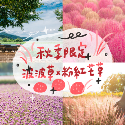 秋限定|杨平两水头 X 抱川艺术谷 X 杨州波波草&粉红芒草 秋限定|杨平两水头 X 抱川艺术谷 X 杨州波波草&粉红芒草