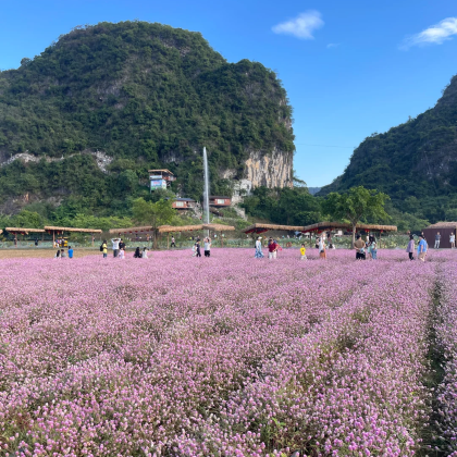 【私自团上门接】清远英德洞天仙境+峰林晓镇一天游+天天发团 【私自团上门接】清远英德洞天仙境+峰林晓镇一天游+天天发团
