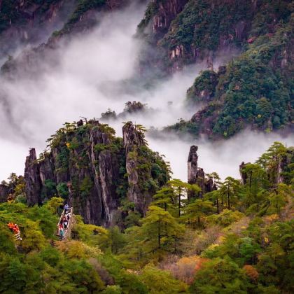 黄山风景区一日游【 悬崖观景×对话守松人×云端下午茶可选】 黄山风景区一日游【 悬崖观景×对话守松人×云端下午茶可选】