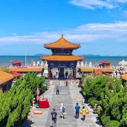 【多套餐可选】蓬莱阁丨八仙过海丨孤独的鲸纯玩一日游 【多套餐可选】蓬莱阁丨八仙过海丨孤独的鲸纯玩一日游