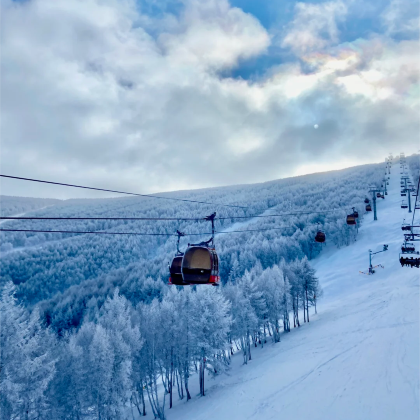 万龙滑雪场一日·专车接送【家庭·团建·考察·定制·研学】 万龙滑雪场一日·专车接送【家庭·团建·考察·定制·研学】