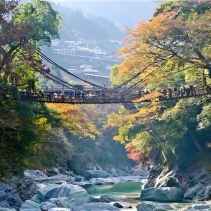 日本德岛祖谷溪藤桥+大小步危1日游 日本德岛祖谷溪藤桥+大小步危1日游
