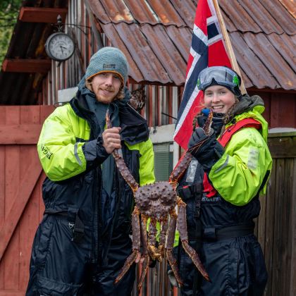 挪威希尔克内斯帝王蟹探险半日游 挪威希尔克内斯帝王蟹探险半日游