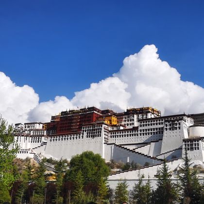 西藏拉萨布达拉宫+大昭寺一日游