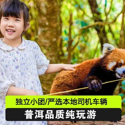 普洱太阳河森林公园+普洱茶马古道遗址公园一日游 普洱太阳河森林公园+普洱茶马古道遗址公园一日游