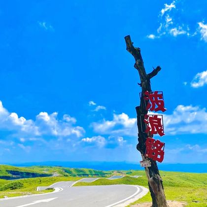 毕节阿西里西大草原一日游(独立出行+上门接送/无购物) 毕节阿西里西大草原一日游(独立出行+上门接送/无购物)