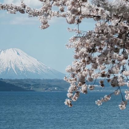 日本北海道登别洞爷湖一日游:地狱谷+昭和新山 日本北海道登别洞爷湖一日游:地狱谷+昭和新山