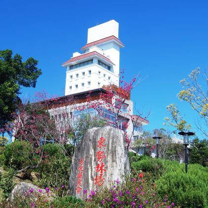 台中东势林场游乐区+安妮公主花园餐厅一日游【台中漫遊大山城】 台中东势林场游乐区+安妮公主花园餐厅一日游【台中漫遊大山城】