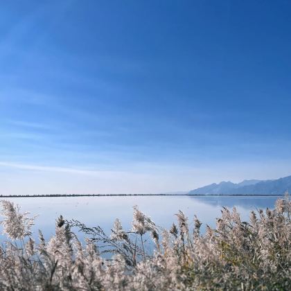 【塞外秘境·一日览圣】五当召+美岱召+哈素海一日游+上门接送 【塞外秘境·一日览圣】五当召+美岱召+哈素海一日游+上门接送