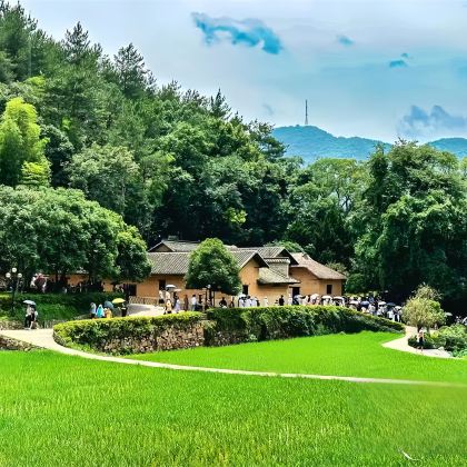 韶山+毛泽东铜像+毛泽东故居+刘少奇故居+滴水洞一日活动 韶山+毛泽东铜像+毛泽东故居+刘少奇故居+滴水洞一日活动