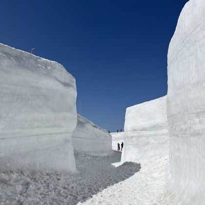 【名古屋往返接送】2025立山黑部+上高地 玩转阿尔卑斯山脉 【名古屋往返接送】2025立山黑部+上高地 玩转阿尔卑斯山脉