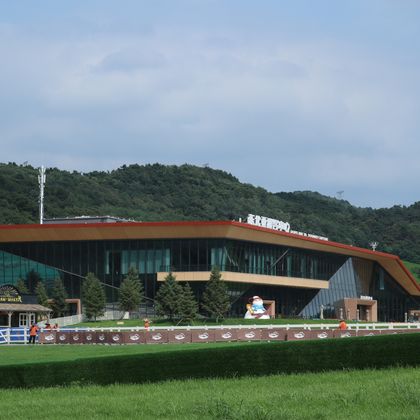 沈阳森林+云端草原+云上牧场+霍比特小屋+亲子乐园+休闲游 沈阳森林+云端草原+云上牧场+霍比特小屋+亲子乐园+休闲游