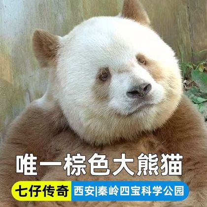秦岭四宝科学公园一日游 秦岭四宝科学公园一日游