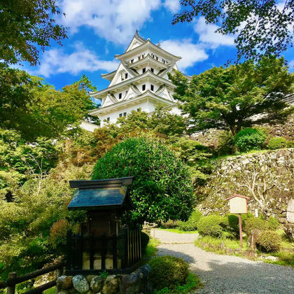 【樱花季】日本名古屋郡上八幡城+下吕温泉合掌村一日游中文小团 【樱花季】日本名古屋郡上八幡城+下吕温泉合掌村一日游中文小团