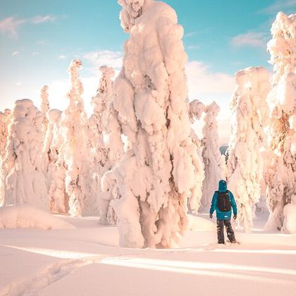 芬兰罗瓦涅米Explore Lapland半日游