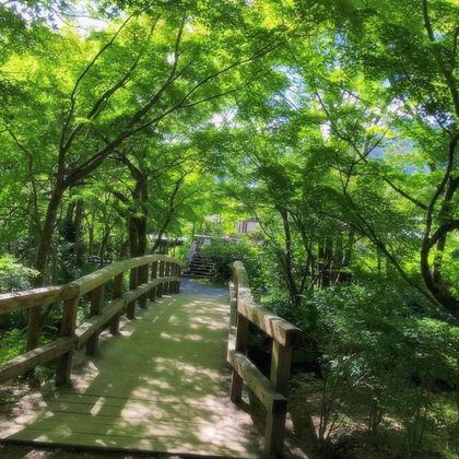九州H线:大分由布院动物园一日游 九州H线:大分由布院动物园一日游