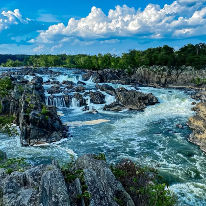 美国华盛顿出发:美国国家植物园+大瀑布公园一日游 美国华盛顿出发:美国国家植物园+大瀑布公园一日游