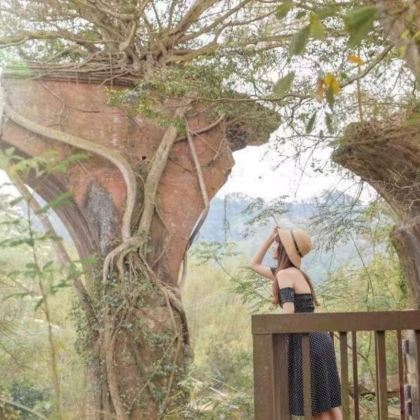 苗栗三韵.人文散策~桂花巷+木雕博物馆+山线铁道自行车一日游 苗栗三韵.人文散策~桂花巷+木雕博物馆+山线铁道自行车一日游