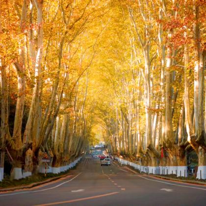 南京总统府+牛首山文化旅游区+中山陵景区+美龄宫+夫子庙1日 南京总统府+牛首山文化旅游区+中山陵景区+美龄宫+夫子庙1日