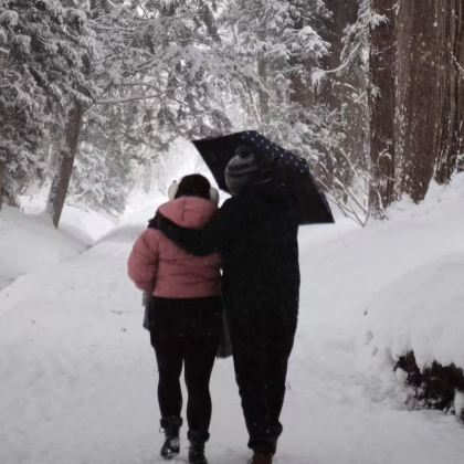 日本长野地狱谷雪猴私人旅游·当地导游陪同(11月至5月限定) 日本长野地狱谷雪猴私人旅游·当地导游陪同(11月至5月限定)