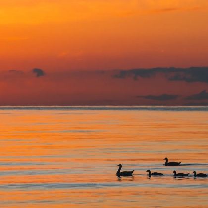 蓝冰·晚霞·青海湖+拉脊山+日月山一日游 蓝冰·晚霞·青海湖+拉脊山+日月山一日游