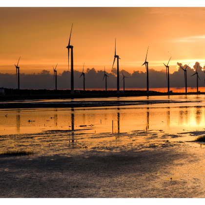 台中高美湿地+中社花市+宫原眼科【送珍珠奶茶|台北出发】 台中高美湿地+中社花市+宫原眼科【送珍珠奶茶|台北出发】