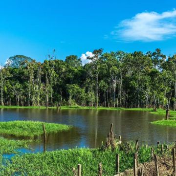巴西+马瑙斯出发-亚马逊河定制包车一日游 巴西+马瑙斯出发-亚马逊河定制包车一日游