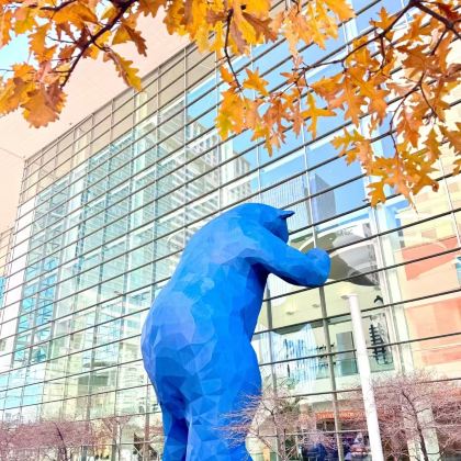 美国科罗拉多 丹佛点对点接送J/定制中文包车 美国科罗拉多 丹佛点对点接送J/定制中文包车