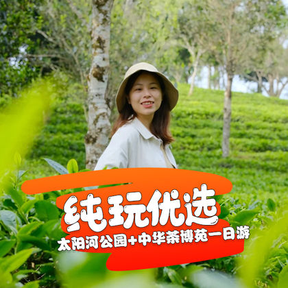 太阳河森林公园+中华普洱茶博览苑一日游