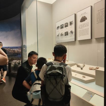 安徽博物馆半日游【子曰旅行2.5H精讲+蓝牙耳机+精品小团】 安徽博物馆半日游【子曰旅行2.5H精讲+蓝牙耳机+精品小团】