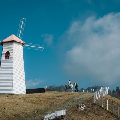 台中日月潭、高美湿地一日游8小时:客制化行程(台中出发) 台中日月潭、高美湿地一日游8小时:客制化行程(台中出发)