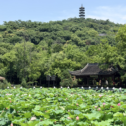 杭州出发西施故里+义乌国际商贸城一日游【私家小团+专车接送】 杭州出发西施故里+义乌国际商贸城一日游【私家小团+专车接送】