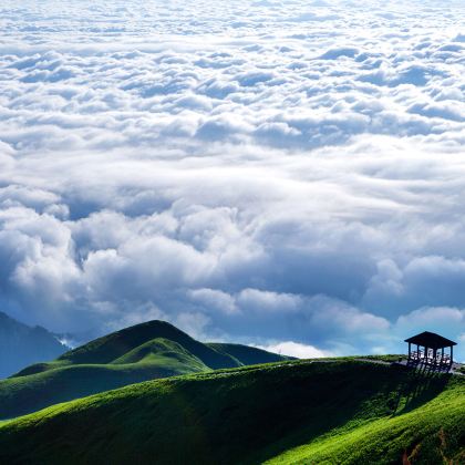 萍乡武功山风景区一日游【纯玩!导游全程服务专车接送4人成团】 萍乡武功山风景区一日游【纯玩!导游全程服务专车接送4人成团】