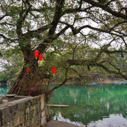 中国广西柳州鹿寨香桥岩溶国家地质公园一日游